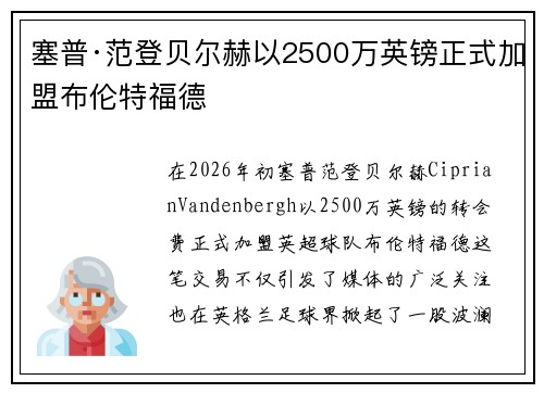 塞普·范登贝尔赫以2500万英镑正式加盟布伦特福德